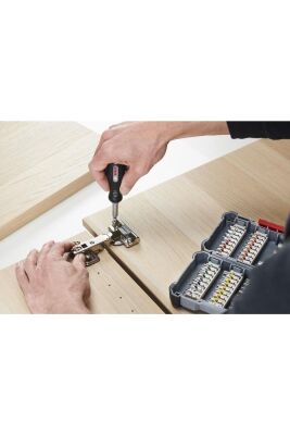 Bosch Professional 44+1 Parça Vidalama Ucu Seti-BOSCH 2607017693 - 4
