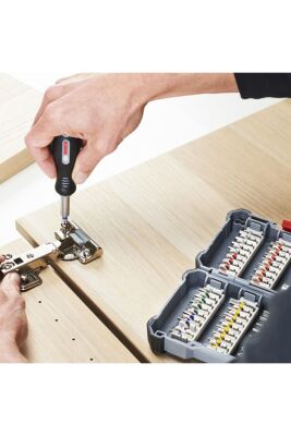 Bosch Professional Vidalama Ucu Seti 44+1 Parça - 2607017692 - 4