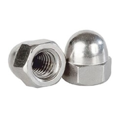 Civtec DIN 1587 6 Kalite Metrik Kör Somun Beyaz M5 - 2