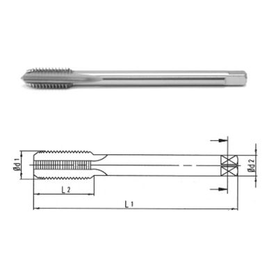 Makina Takım M12X1 Hss-E Din374/C İnce Diş Makina Kılavuzu-Mte - 1