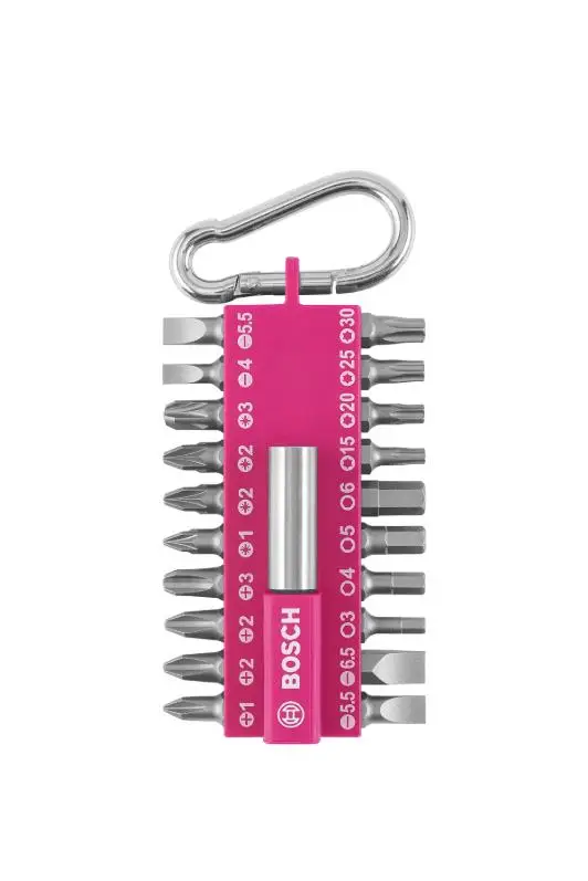 Bosch DIY-P 21 Parça Vidalama Ucu Seti (Fuşya)-2607002821
